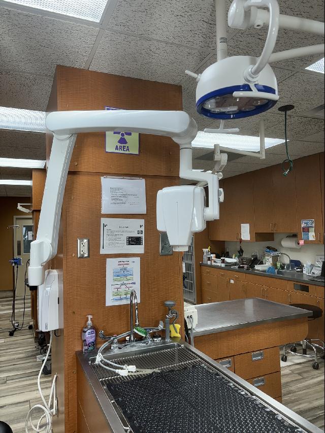 Dental table & X-ray